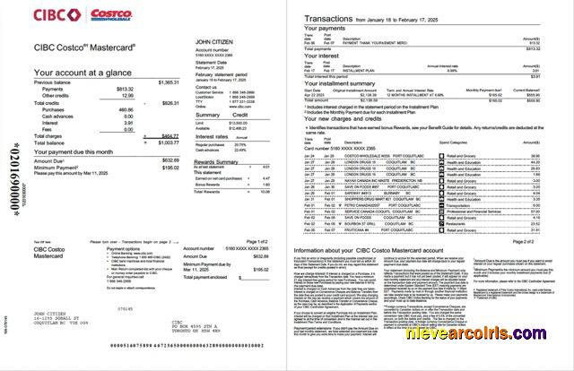 Canada CIBC Bank account statement Word and PDF, 2 pages  
